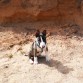 Sorpresa sacando mas cuerpo jeje,con 3 mesitos y 5 dias de paseo por la montaña 